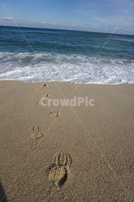 발자국,바다,모래사장,파도,감성,해변,바다,beach,sea