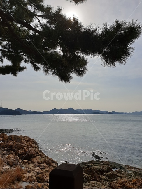 바다,고요,나무,sea,silence,tree