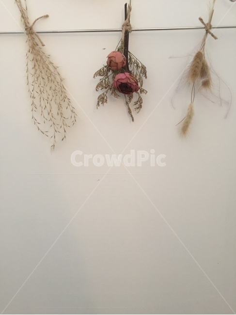 꽃,안개,드라이플라워,감성,인테리어,분위기,말린꽃