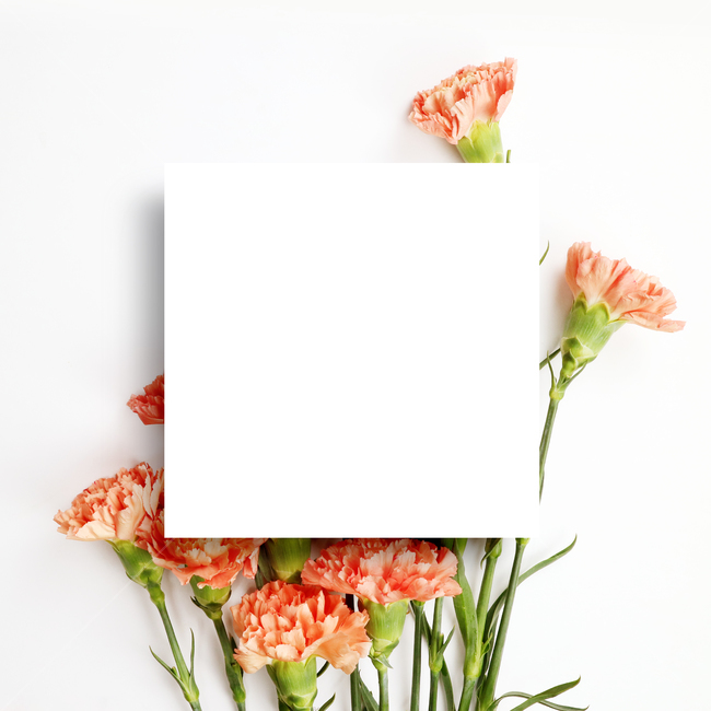 카네이션,꽃,코랄,백그라운드,배경이미지,배경,꽃송이,꽃다발,프레임,카피스페이스,기념일,주황색,기념일,축하,anniversary,congratulation,celebrate,celebration