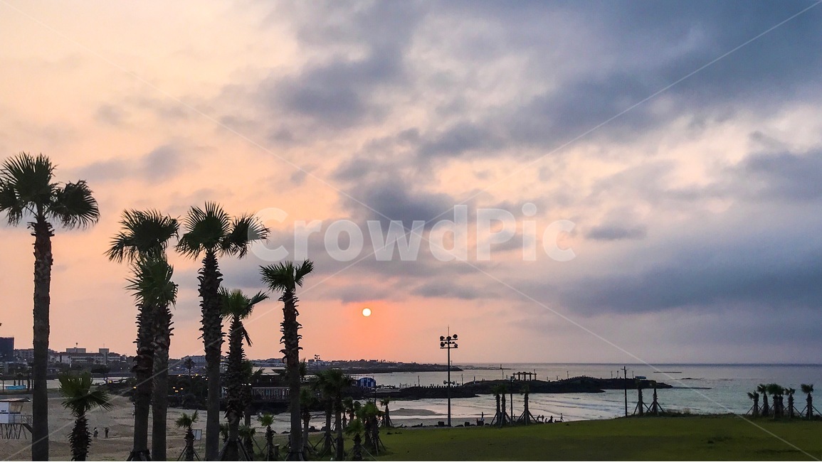 노을,바닷가,야자수,해수욕장,제주,구름,평온한,자연,힐링,모래사장