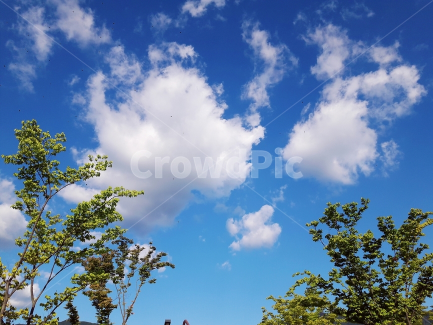 솜사탕구름,맑은하늘,뭉게뭉게,날씨좋은날,청량함,sky,refreshing,clean,cloud