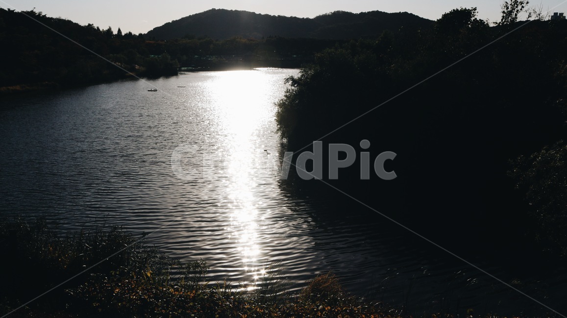 호수,공원,윤슬,빛,오리,자연,풍경,nature,landscape,water,물,outdoors,옥외