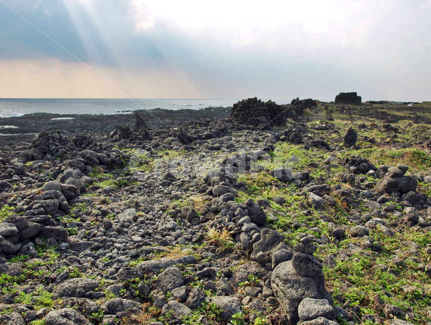표선해비치해변,올레4코스,올레길,제주,서귀포시,바다,자연,풍경,nature,landscape,제주도,jeju,jeju island,ground,바닥,plant,식물,moss,이끼