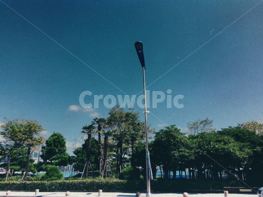 감성,나무,풍경,감성사진,필름카메라,하늘,가로등
