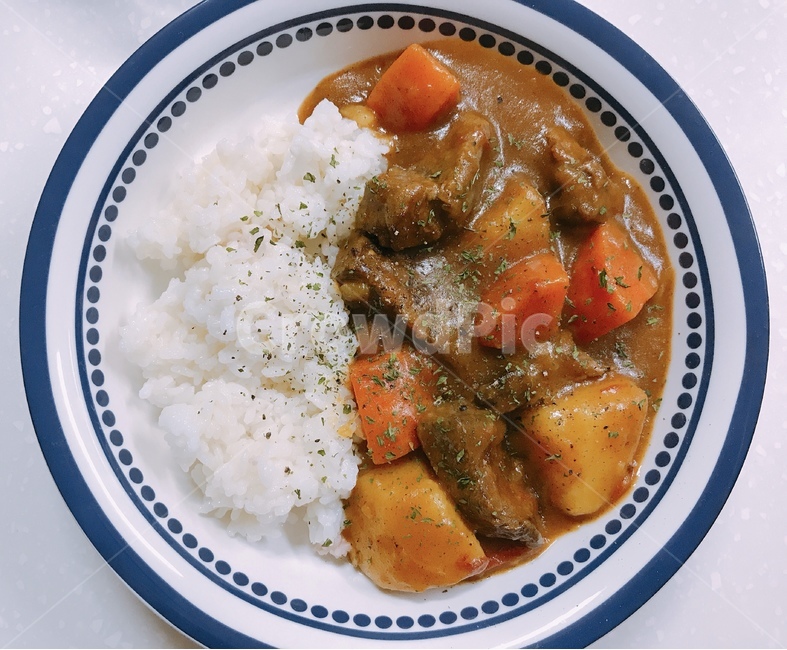 카레,식사,요리,음식,food