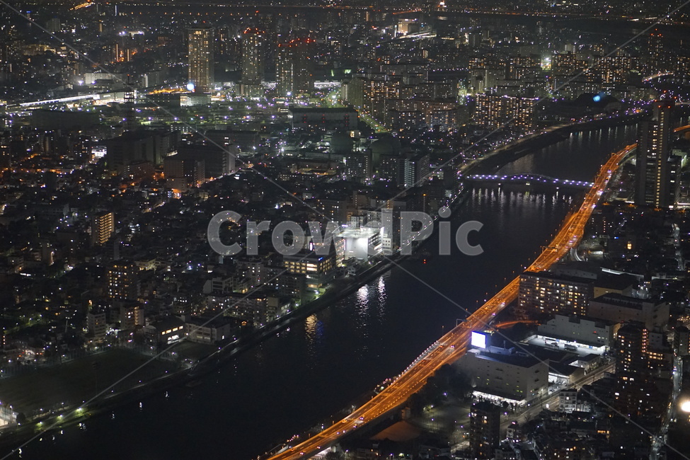도쿄,일본,야경,분위기,도로,강,밤거리,야경,밤,풍경,nightscape,night,landscape,도시,city,nature,자연,outdoors,옥외,경치,scenery,aerial view,조감도