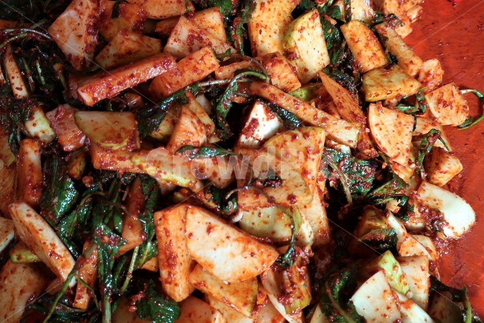 김장,김치,겉절이,전통,월동,무우,양념,반찬,발효,식품,야채,채소,김장철,겨울,음식,식재료,요리,food,cook,meal,dishes,food reserves,한식,한국음식,한국요리,korean food,korean dishes,korean meal,korean cook