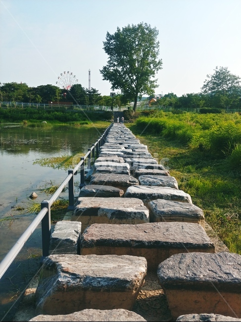 보도,통로,돌담길,path,자연,nature