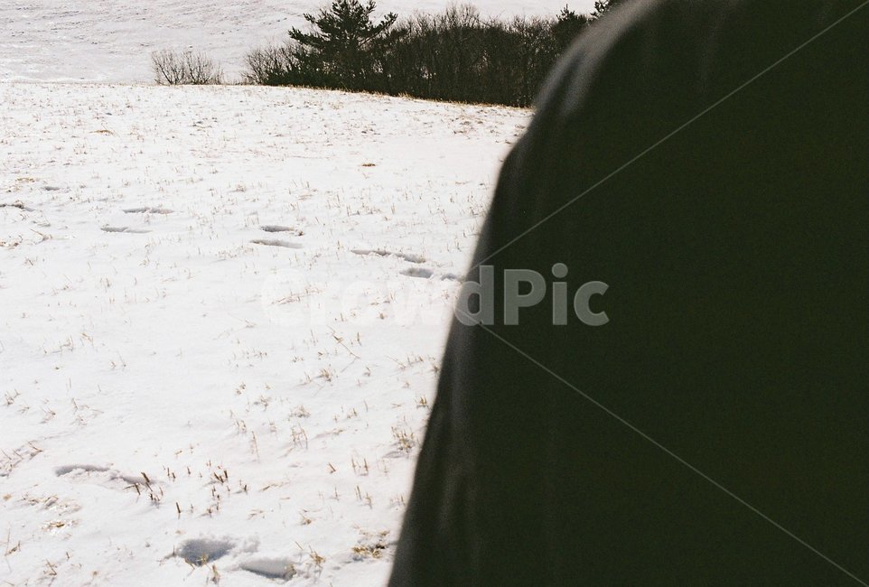 눈,발자국,뒷모습,어깨,필름카메라,필카,뉴트르,레트로,겨울,계절,winter,season
