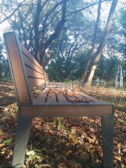 의자,벤치,낙엽,숲,가을,나무,운동기구,공터,산