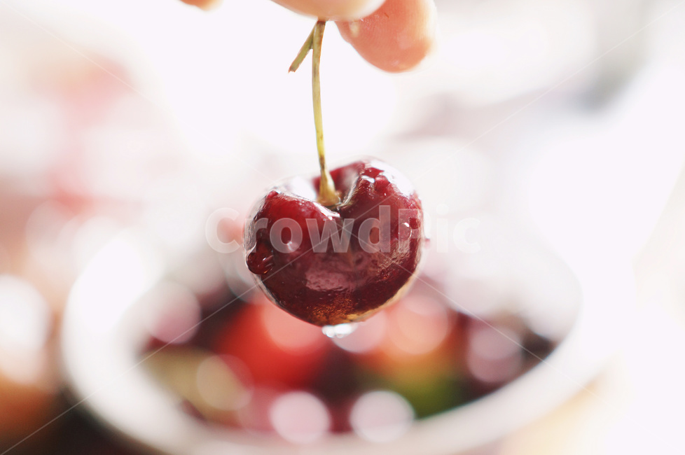 체리,cherry,과일,fruits,음식,food,과일,열매,fruit