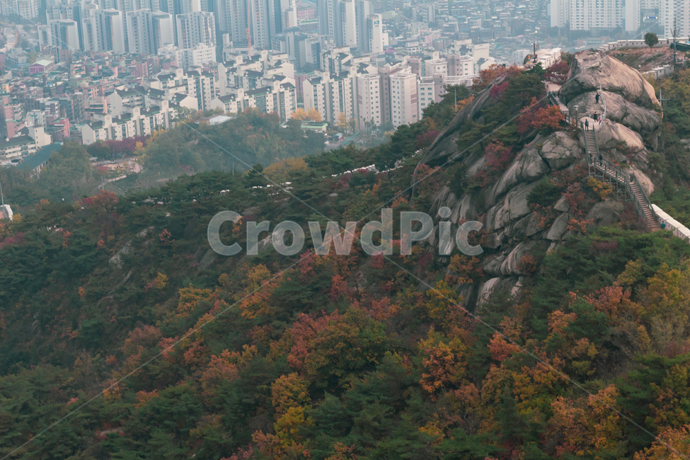 산,풍경,가을,도시,자연,가을,계절,fall,autumn,season