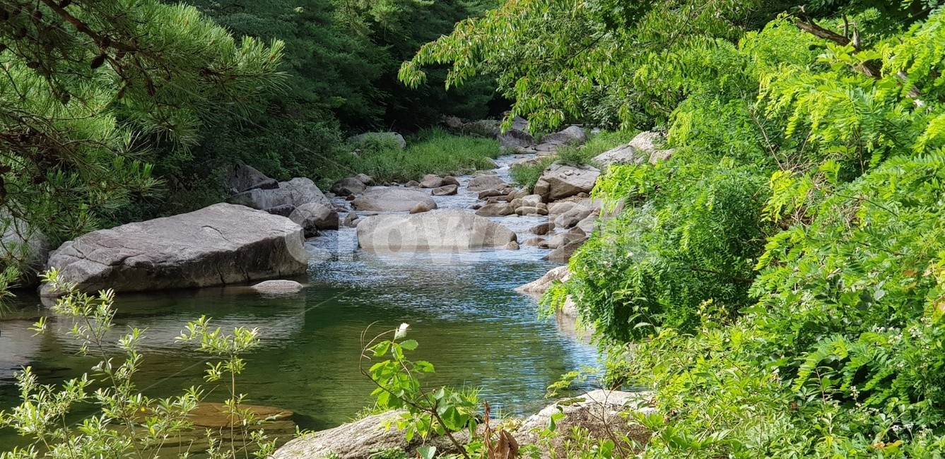 자연,계곡,풀,바위,숲,자연,풍경,nature,landscape,water,물,outdoors,옥외