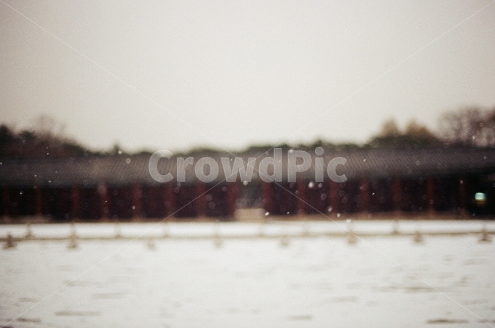 눈,겨울,창경궁,전통,필름사진,감성사진,몽환,따뜻한,풍경,고요한,snow,winter,tradition,film,sensitive,warm,landscape,cozy,korea,겨울,계절,winter,season,한국전통,한국문화,korean traditional,korean culture,랜드마크,landmark,tourist attraction,한국랜드마크,한국관광지,한국명소,korea landmark,korea tourist attraction,감성,sensible,feeling