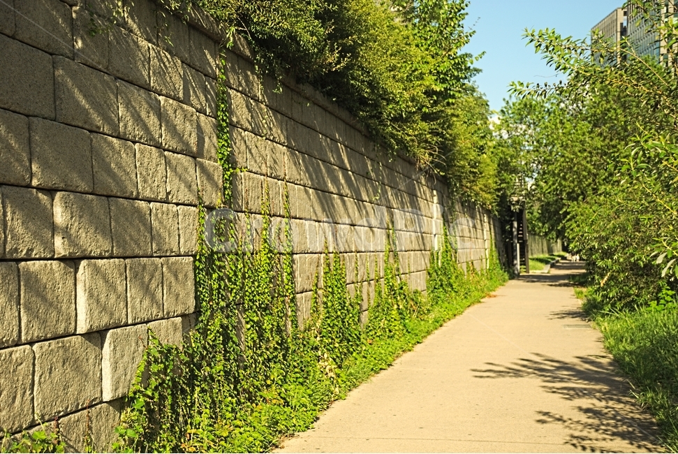 청계천,돌담길,식물,길,여름,따뜻함,자연,풍경,nature,landscape,wall,벽,arbour,정자,garden,정원,outdoors,옥외,plant