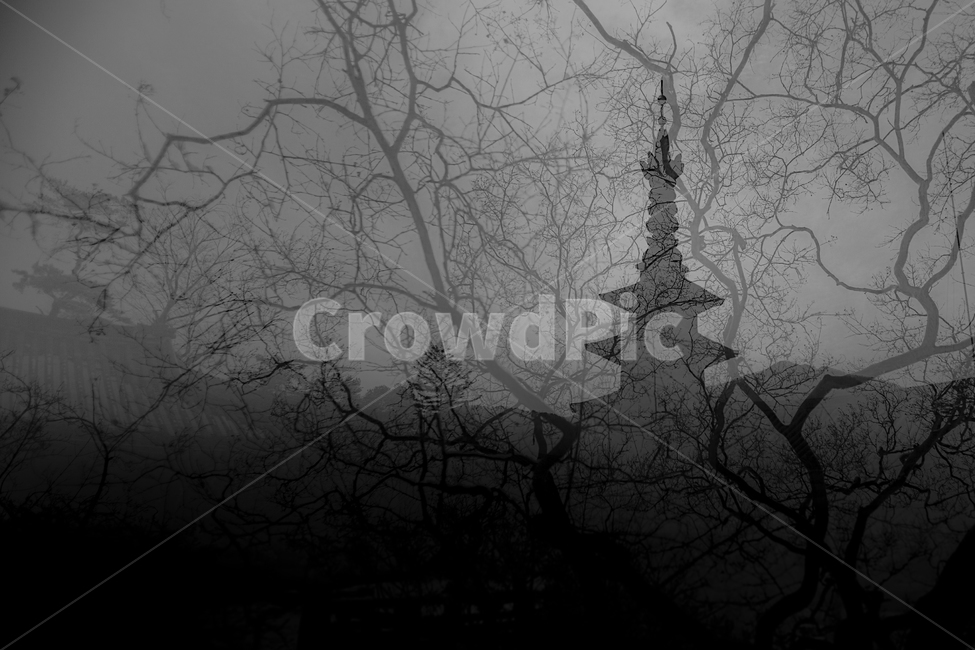 풍경,다중,장노출,감성,추상,한국전통,한국문화,korean traditional,korean culture,실루엣,그림자,silhouette,shadow,흑백,모노톤,monochrome,black and white