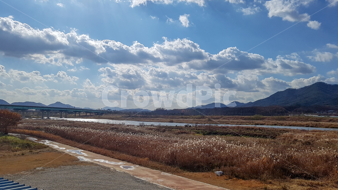 섬강,강,구름,풍경,자전거길,갈대,하늘,섬강자전거길,자연,풍경,nature,landscape,weather,날씨,road,도로,outdoors,옥외,cloud,sky,cumulus,적운