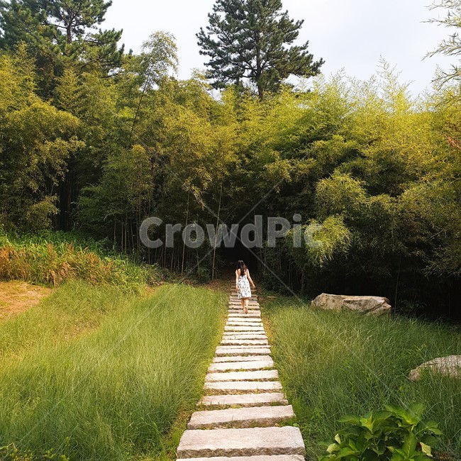 자연,사람,여자,뒷모습,대나무,자연,풍경,nature,landscape