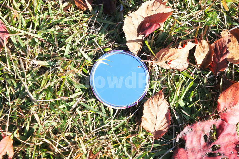 컨셉,거울,하늘,낙엽,가을,mirror,fall,가을,계절,fall,autumn,season,leaf,잎,plant,식물,ground,바닥