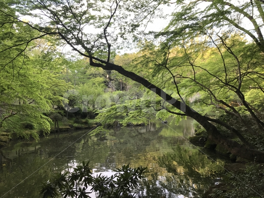 자연,감성,풍경,제주,원본,자연,풍경,nature,landscape,여름,계절,summer,season,water,물,outdoors,옥외,land,땅