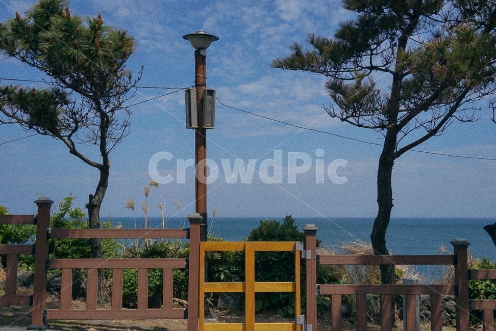 제주도,바다,문,나무,하늘,가로등