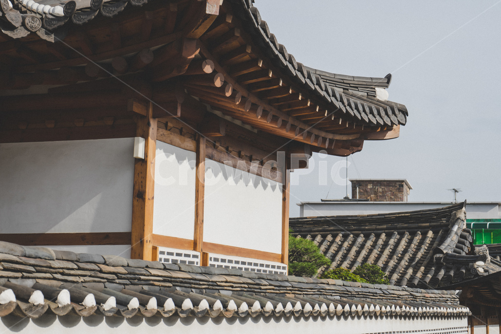 한옥,전통,빈티지,감성,나무,traditional,vintage,tree,old,korea,한국