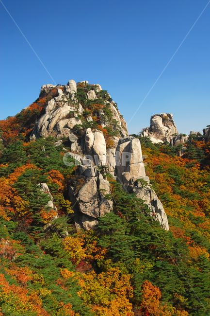 도봉산,산,단풍,가을,계절,풍경,자연,바위,바위산,봉우리,산봉우리,나무,숲,산림,등산,절경,국립공원,하늘,한국,가을,계절,fall,autumn,season,자연,풍경,nature,landscape,한국자연풍경,한국자연경관,korea nature landscape,cliff,낭떠러지,outdoors,옥외