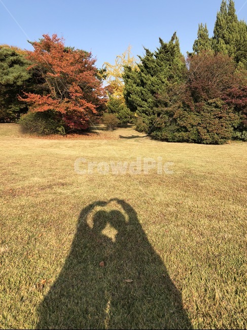 그림자,풍경,사랑,연인,가을,데이트
