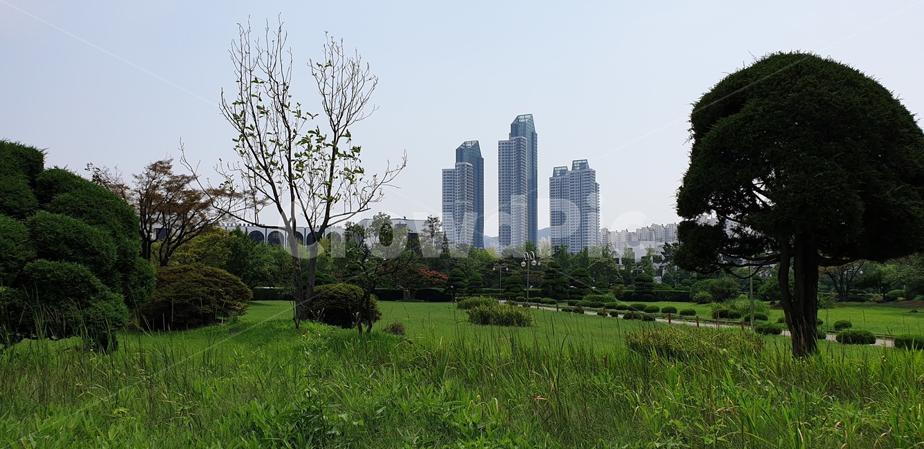 초고층건물,아파트,주상복합,녹지,잔디,도시