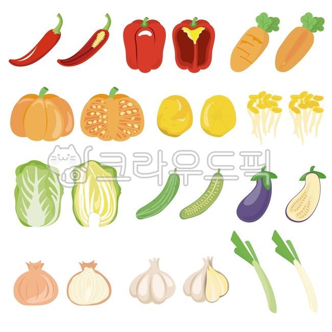 pepper,cabbage,Illustration,cucumber,onion,green onion,vegetable,potato,ingredients,vegetable slice,vegetable cross section,eggplant,garlic,green pepper,food ingredients,food,bean sprout,paprika,pumpkin,carrot