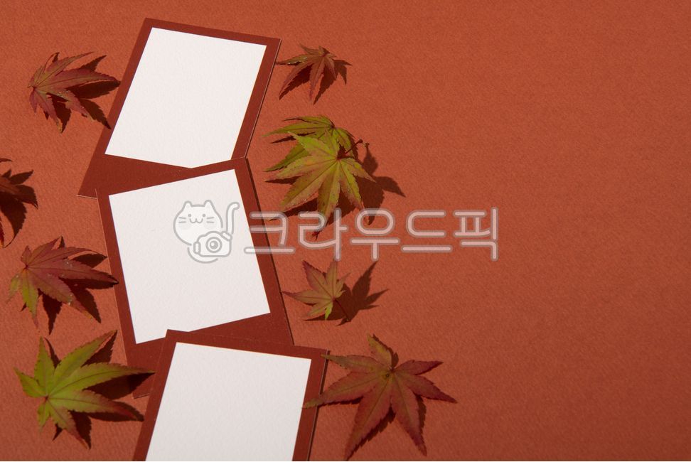 shadow,Photo,space,white,copy space,season,decoration,bean,blank card,border,overlay,invitation,dry,emptied,brown,flat lay,writing pad,photo site,light,background,letter,plant,autumn,instant photo,card,frame,photo paper,blank,Postcard,Instant printing,scr