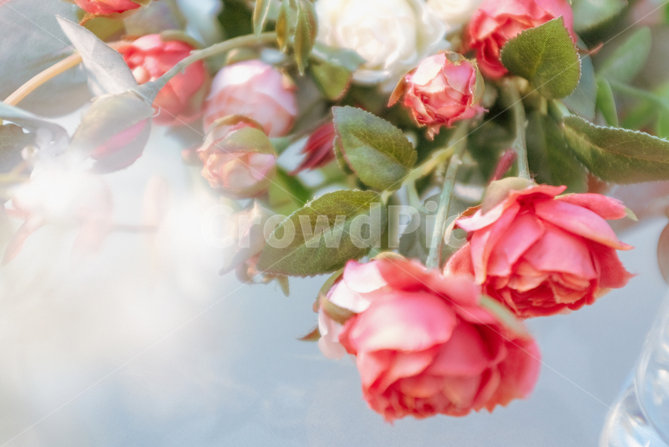 가정장식,식물,꽃,plant,정물,부케,blossom,꽃,flower