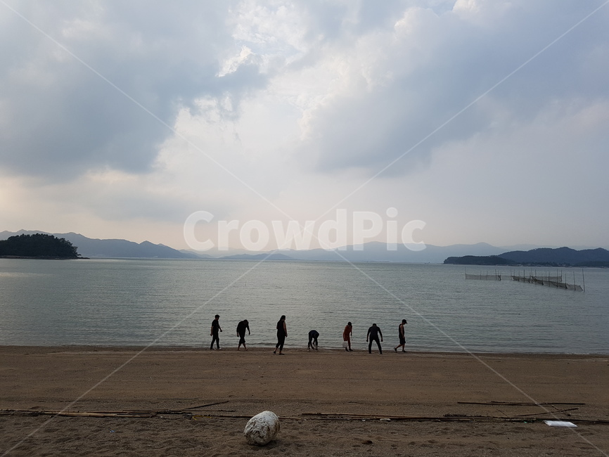 추석,바닷가풍경,고흥,바닷가,자연