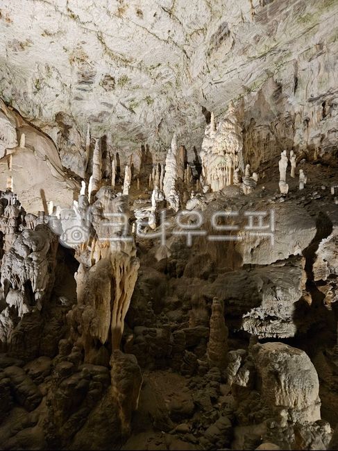 cave,동굴,포스토이나,석회동굴,야마동굴,postoija,슬로베니아,포스토이나동굴,석회,카르스트지형,카르스트,nature,자연,종유석,야마,발칸,발칸반도,유럽