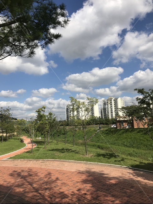 하늘,구름,쾌청한,양떼구름,나무그림자,나무,길가,멋진,도시,풍경,city,landscape,building,건물