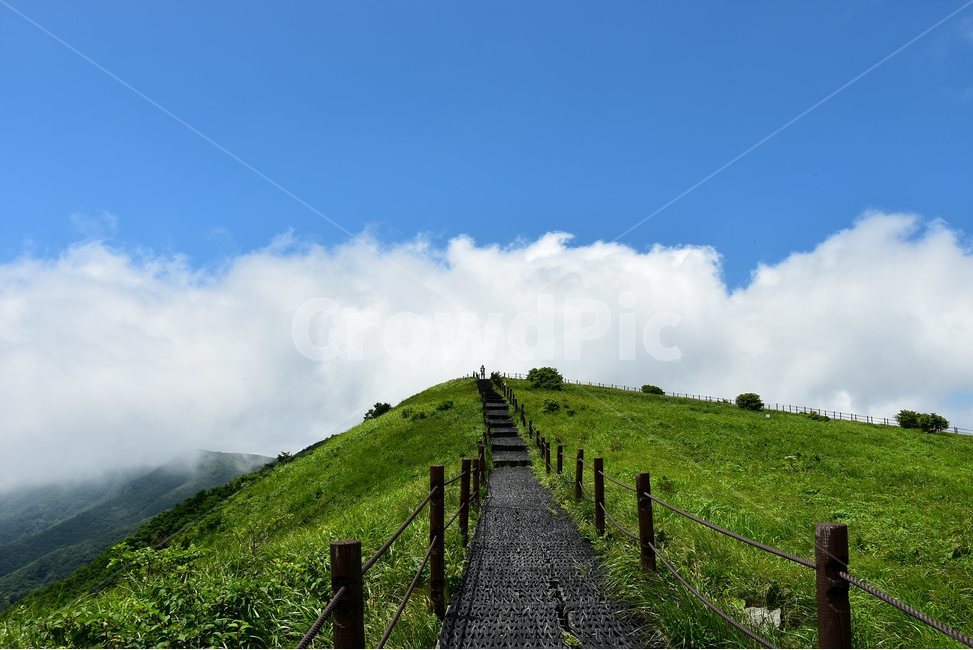 소백산,풍경,초록,자연,여름,경치,비경,등산,산행,힐링,아름다운,계절,명산,국립공원,nature,landscape,능선,구름,운해,장관,자연,풍경,nature,landscape,outdoors,옥외,field,들,grassland,목초지