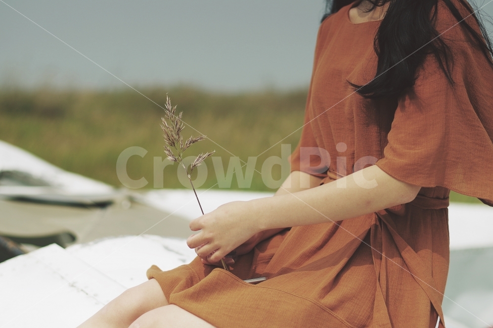 소녀,갈대,갈대밭,아이,쓸쓸함,가을,감성,낭만,손,감성사진,가을사진,갈대숲,가을,계절,fall,autumn,season,사람,인물,인간,human,person,여성,여자,woman,female,lady,감성,sensible,feeling,plant,식물,grass,잔디