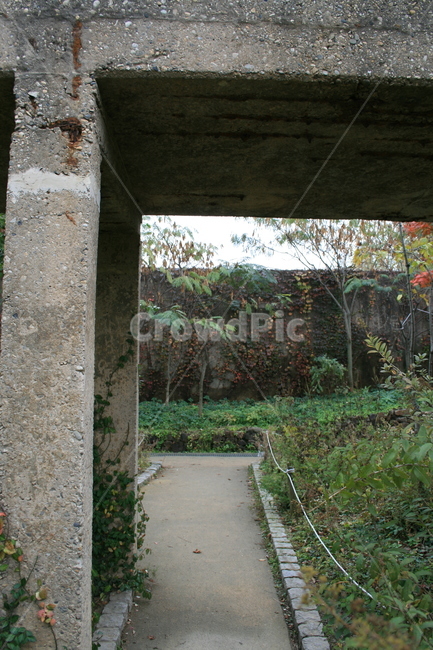 공원,길,콘크리트,기둥,식물,자연,풍경,nature,landscape