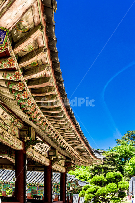 사찰,전통,문화유산,단청,문양,무늬,한국전통,한국문화,korean traditional,korean culture,종교,신앙,religion,belief,faith,건축물,건물외관,exterior,building,structure,architecture,construction
