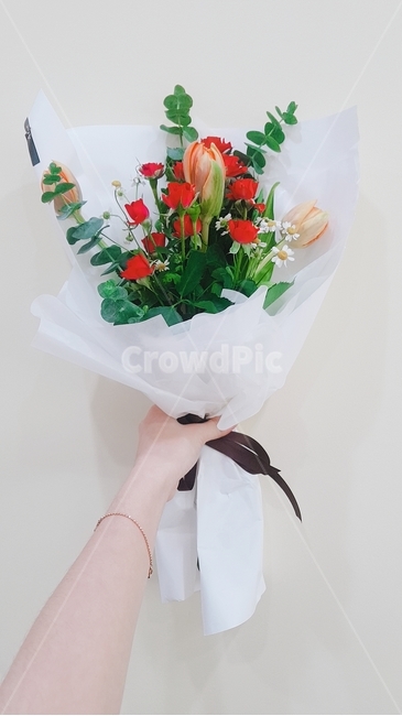 꽃다발,서프라이즈,장미,기념일,프로포즈,꽃,flower,기념일,축하,anniversary,congratulation,celebrate,celebration