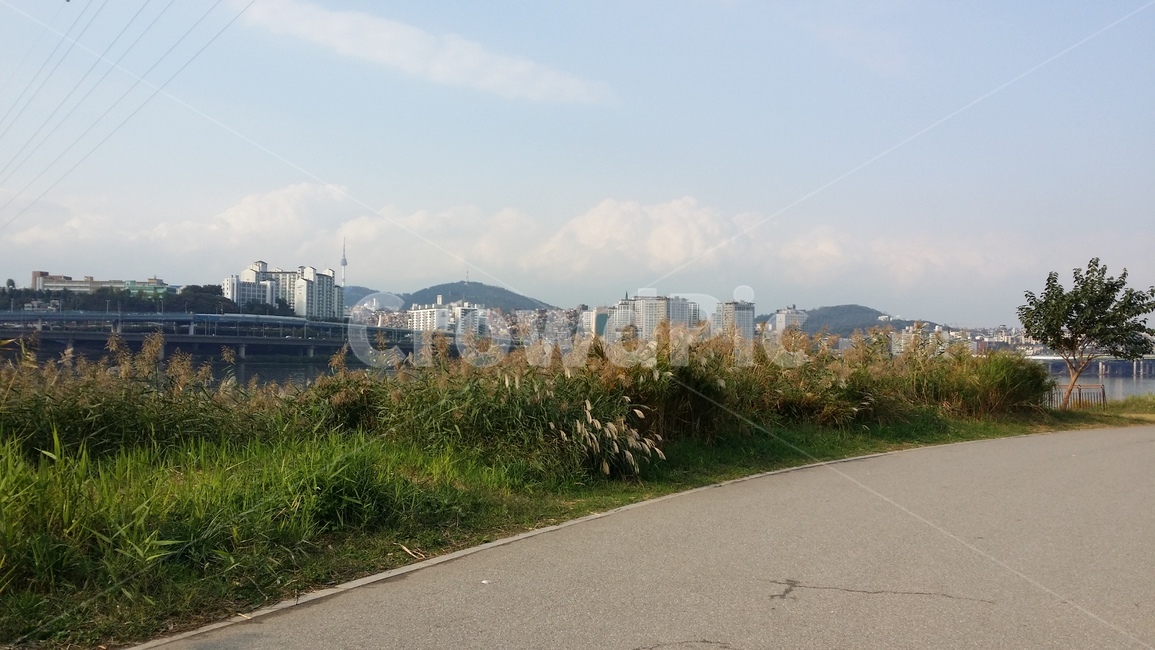 한강,한강공원,공원,길,산책길,산책,풀밭,hanriver,park,road