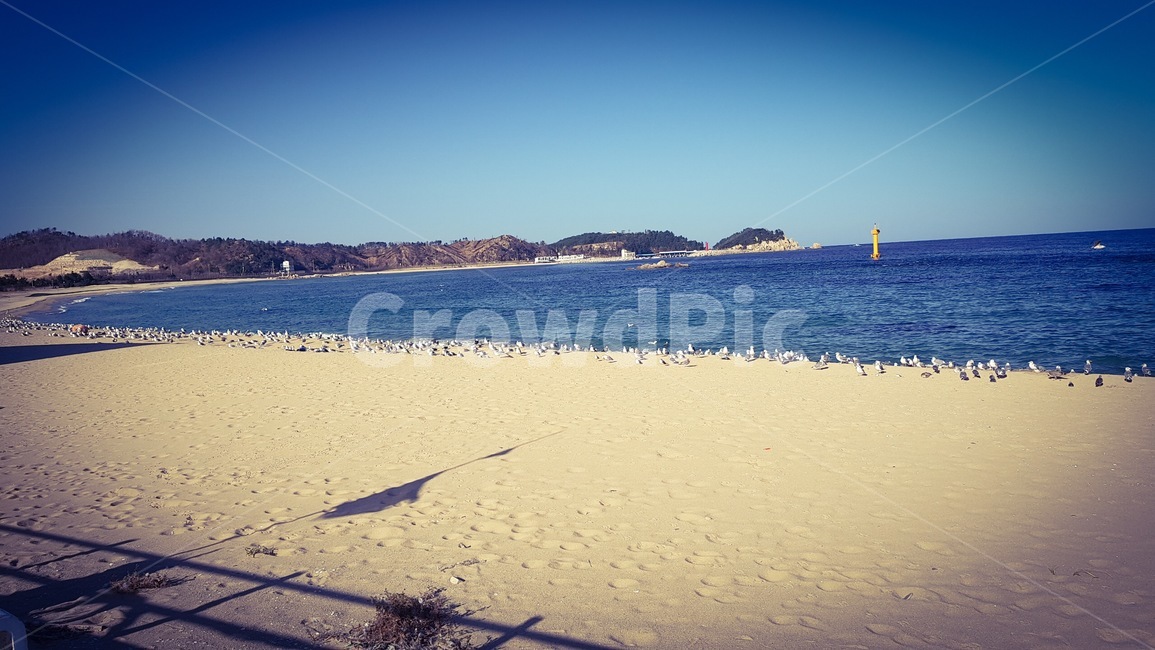 영금정,바다,겨울바다,감성사진,속초바다,해변,바다,beach,sea