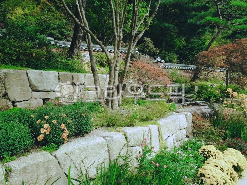 화계,화단,정원,조경,원예,자연,flagstone,판석,계단정원,화계정원,옥외,식물,화담숲
