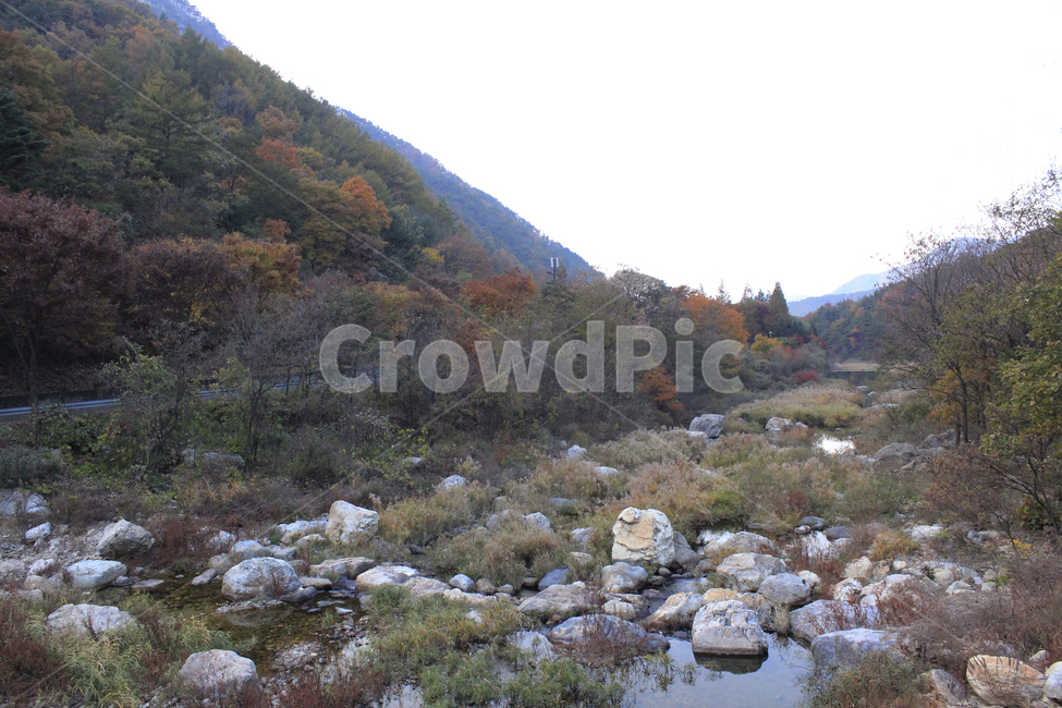 가을,단풍,풍경,산맥,산,등산,등산로,다채로운,낙엽,주황색,초록색,나무
