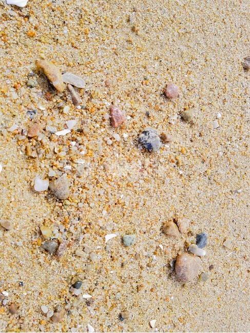 outdoors,옥외,nature,자연,sand,모래