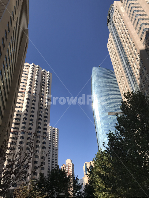 사무실건물,건물,고층,고층건물,날씨,맑음,하늘,유리창문,blue,building,business,china,city,cityscape,company,corporate,district,exterior,glass,high,modern,office,sky,skyscraper,structure,tall,urban,view,windows