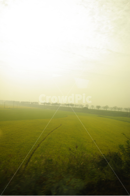 창,풍경,하늘,밭,논,자연,풍경,nature,landscape,outdoors,옥외,grassland,목초지,field,들,paddy field,패디 필드