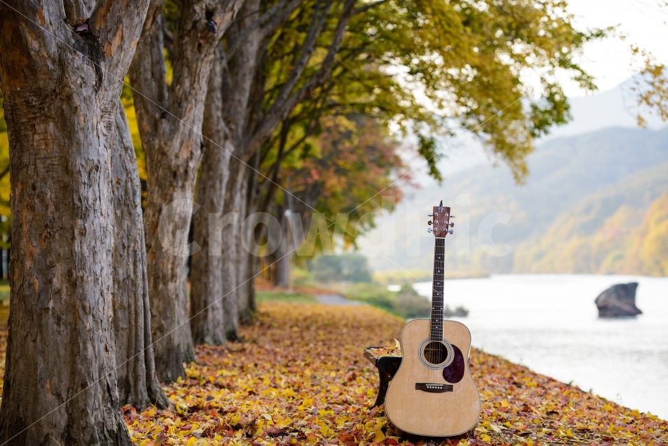 감성,풍경,단풍,풍경사진,기타,자연,풍경,nature,landscape,가을,계절,fall,autumn,season,악기,음향기기,musical instrument,musical equipment
