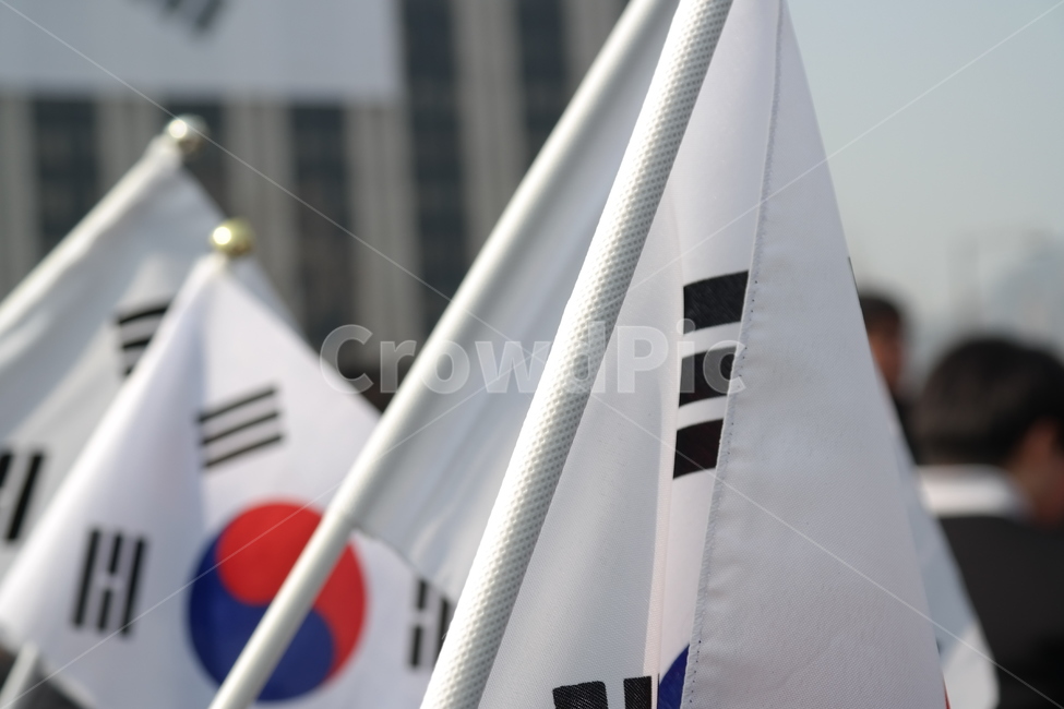 태극기,31,31운동,국기,태극,대한민국,사물,물건,오브젝트,thing,object,matter